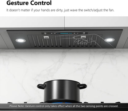 30 inch Built-in/Insert Range Hood 900 CFM, Ducted/Ductless Convertible Duct, Stainless Steel Kitchen Vent Hood with 4 Speed Gesture Sensing&Touch Control Panel(IKB01-30)