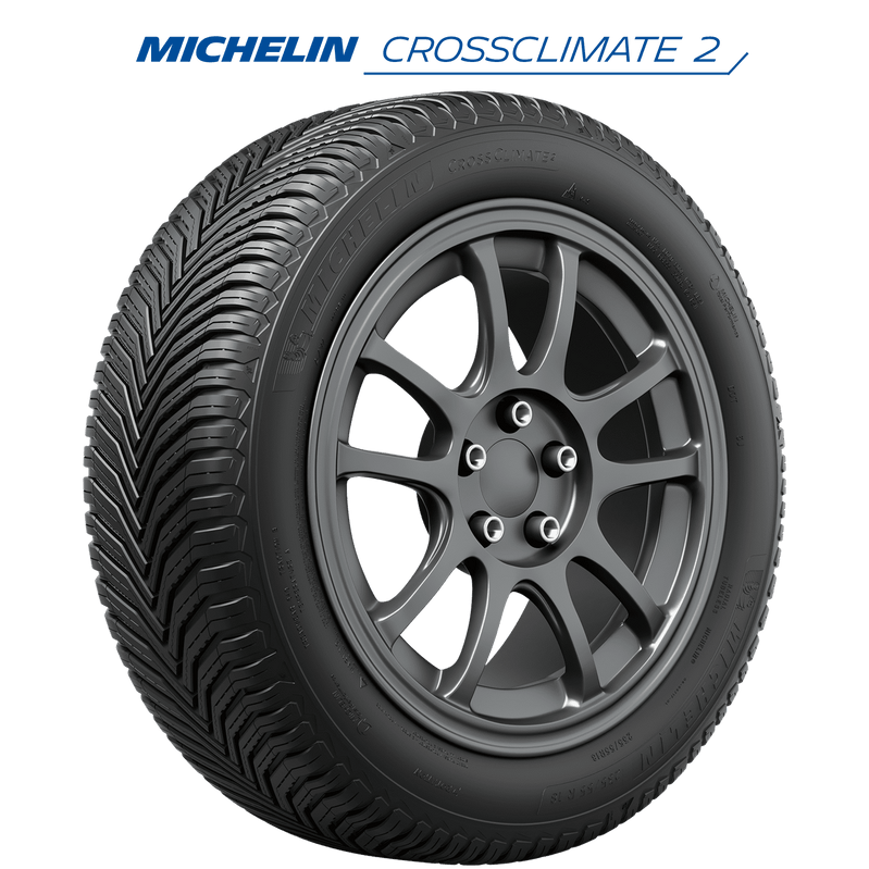 255/40R19XL 100V